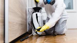 Best Pest Prevention Services  in Rehobeth, AL